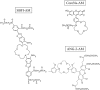 Fig. 2