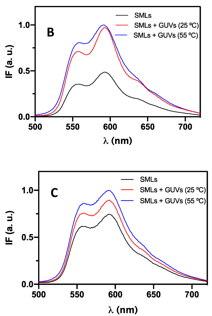 Figure 12