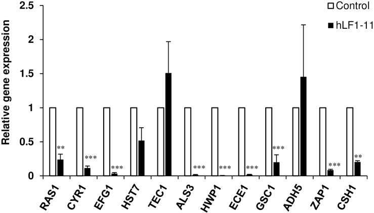 Fig 5