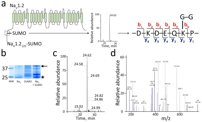 Figure 6.