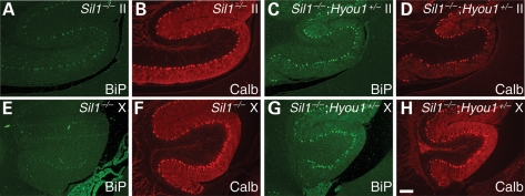 Figure 5.