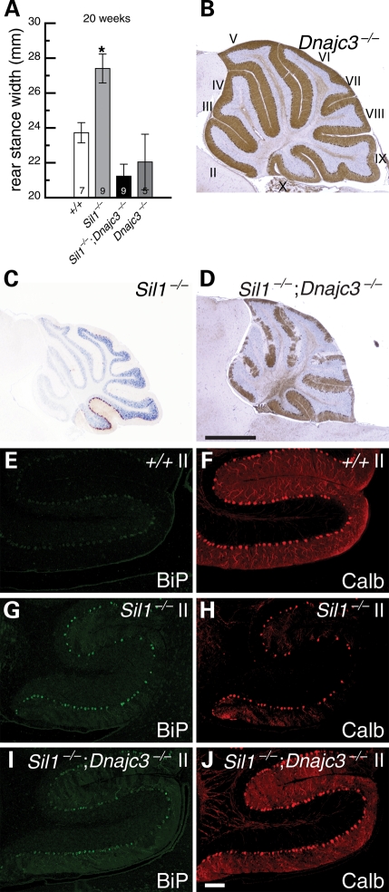 Figure 6.