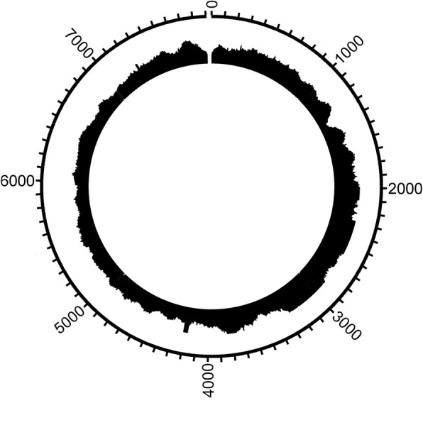 Fig. 6