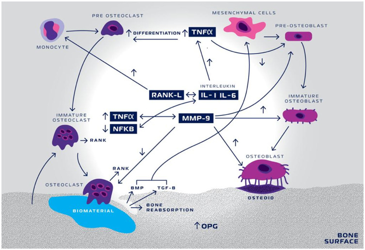 Figure 14