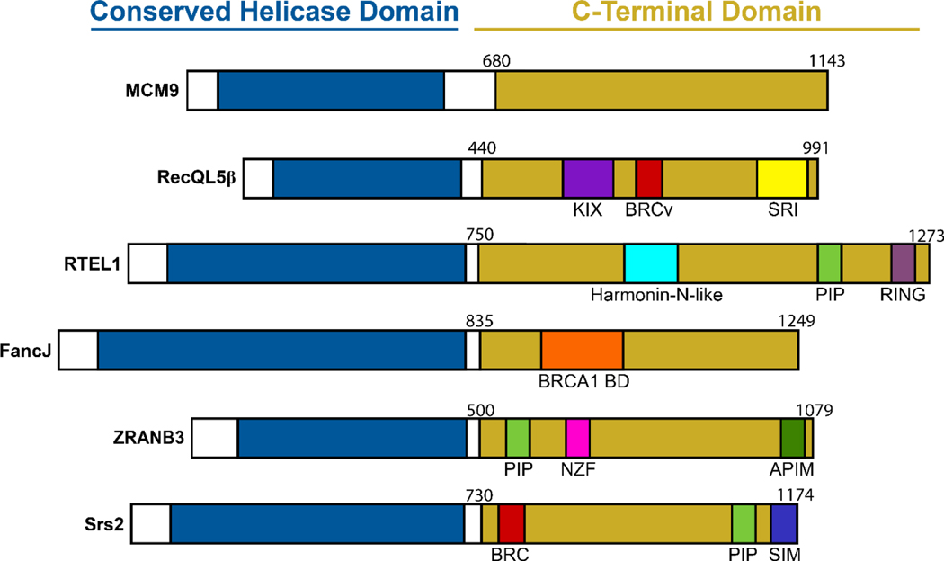 Figure 2: