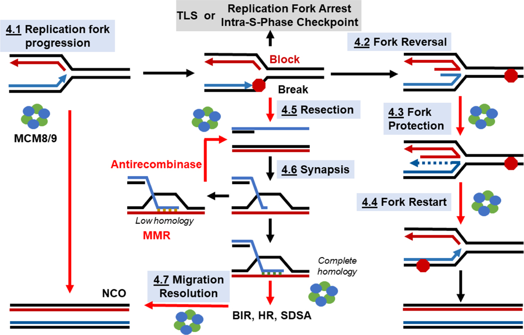 Figure 4: