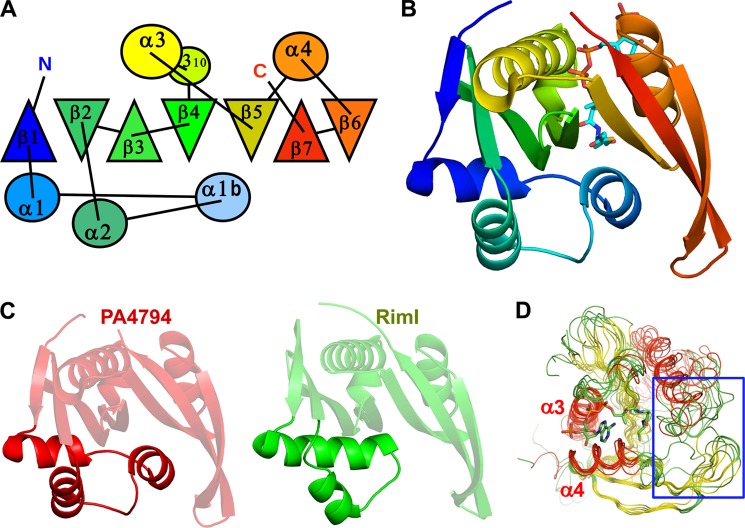 FIGURE 1.