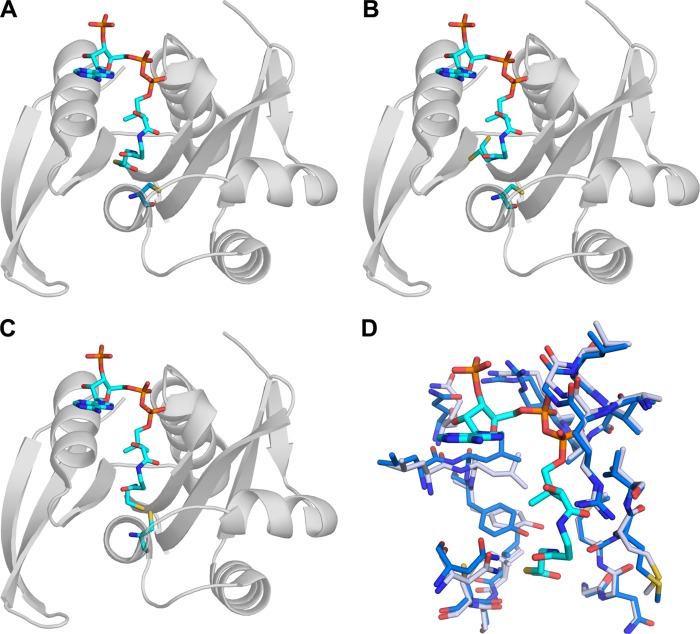 FIGURE 2.