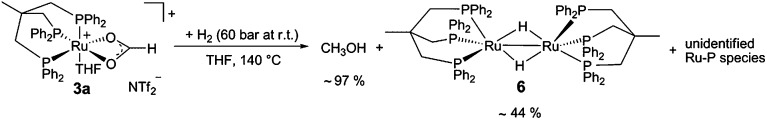 Scheme 5