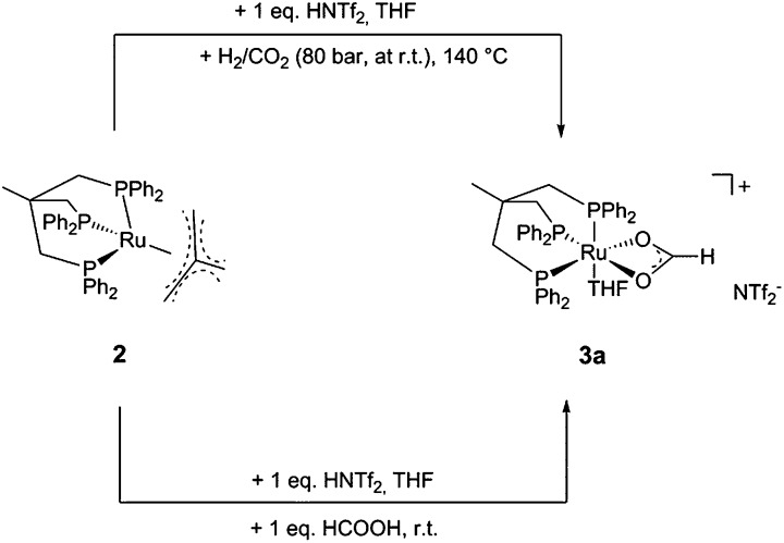 Scheme 3