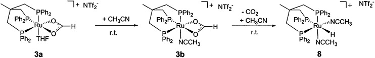 Scheme 4