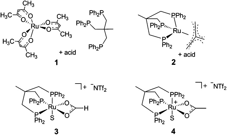 Scheme 2