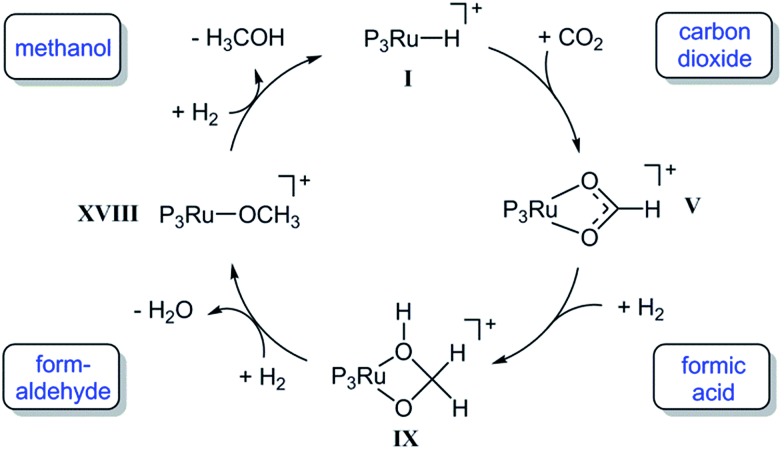 Scheme 6