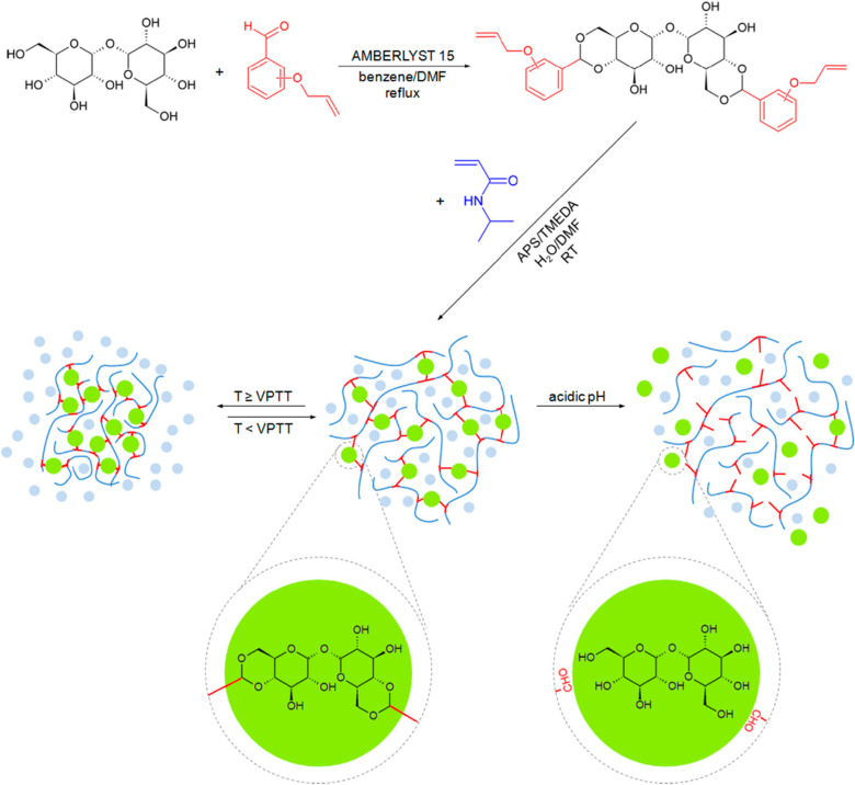 Figure 13