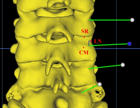 Fig. 2