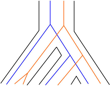 Phylogenetic studies show that slowly evolving genes are more likely to be duplicated than faster evolving genes