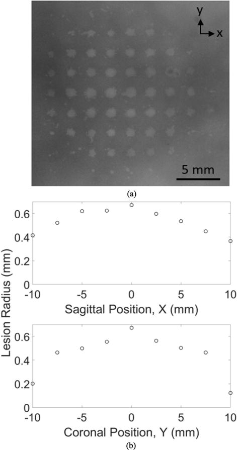 Fig. 10