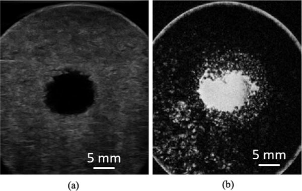 Fig. 11