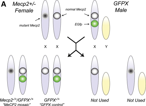 Figure 3.