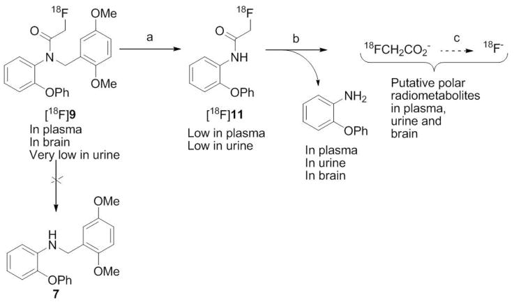 Scheme 3