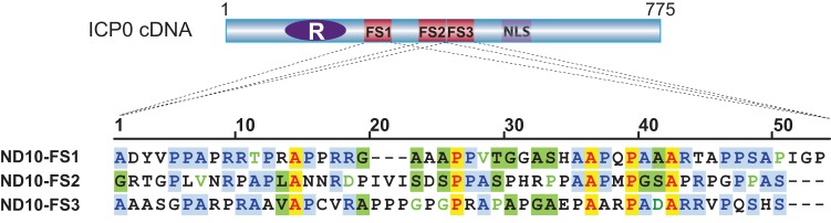 FIG 8