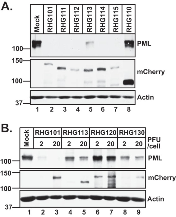 FIG 7