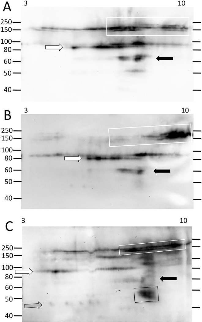 Fig 5