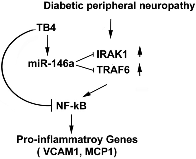 Fig.5: