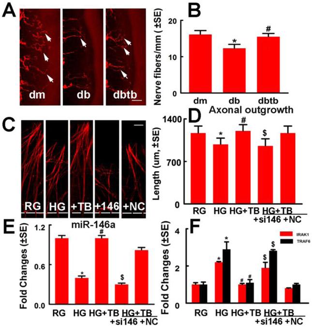 Fig.3: