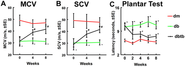 Fig.4: