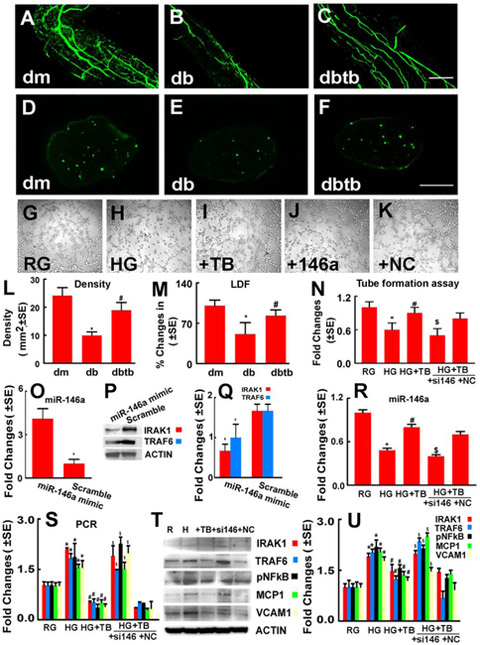 Fig.2: