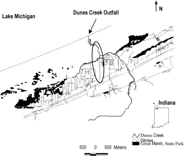 FIG. 1.