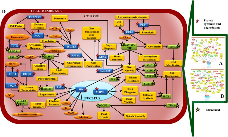 Fig 11