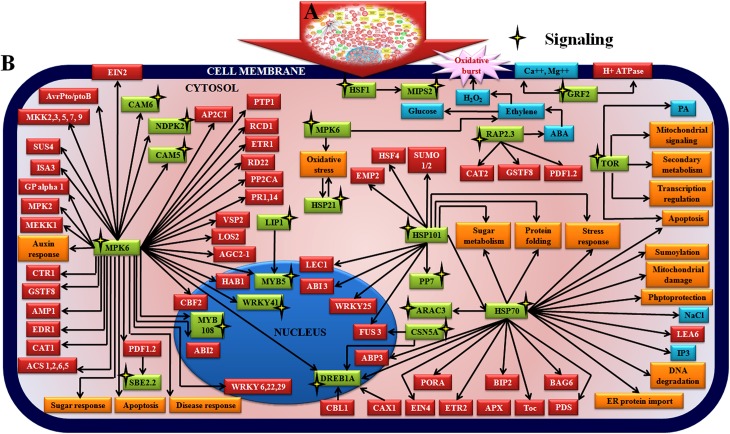 Fig 10