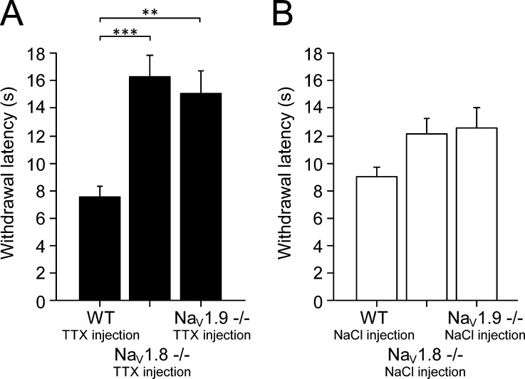 Figure 13.