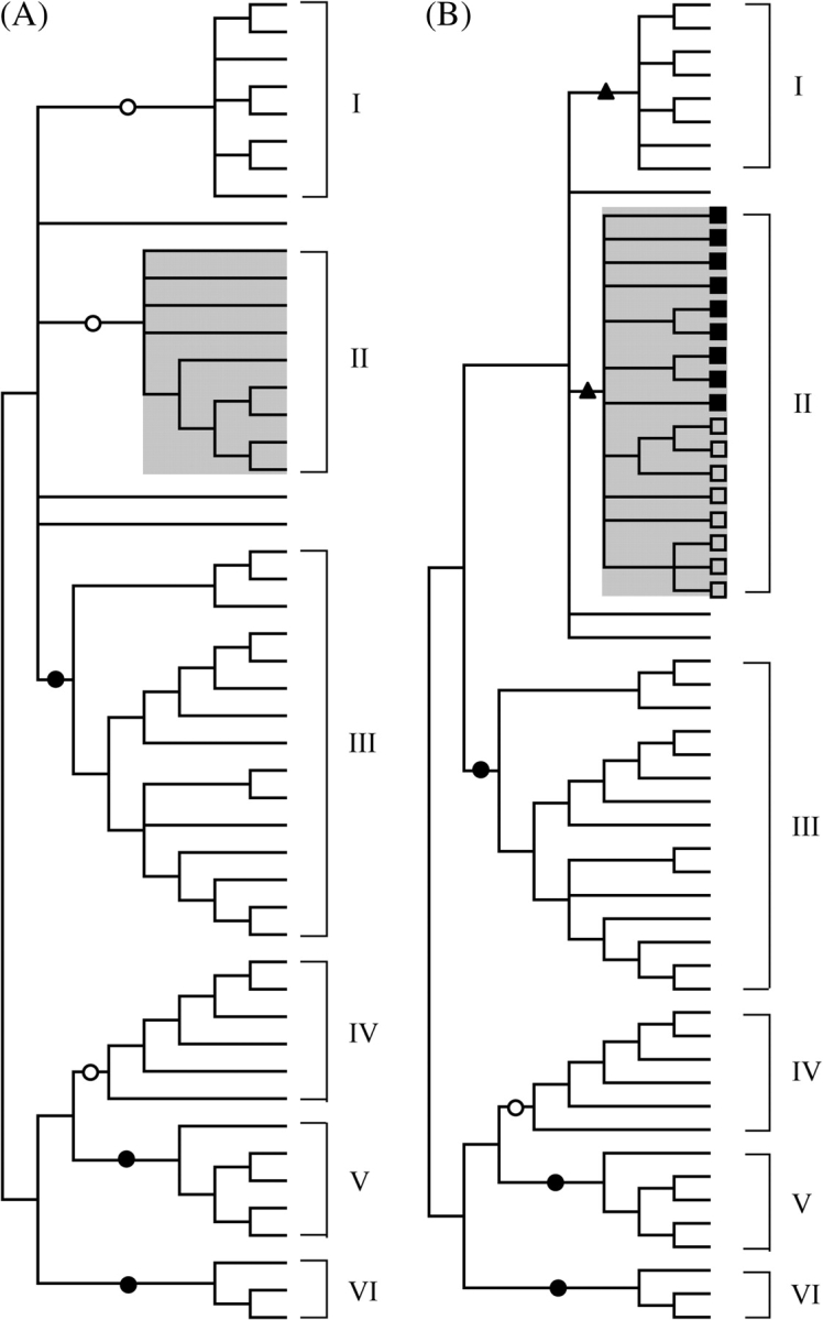 FIG. 3.—