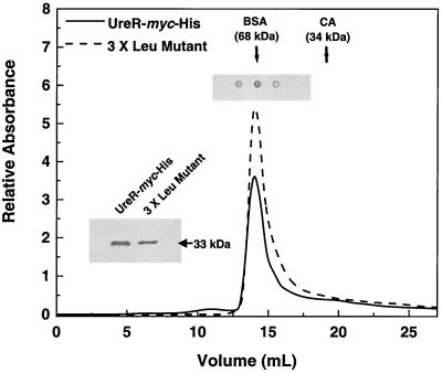 FIG. 8