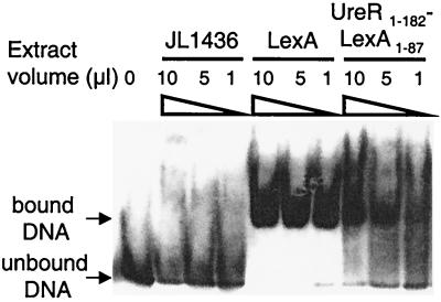 FIG. 6