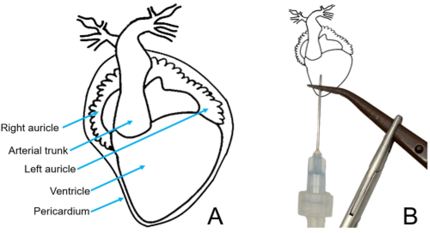 Figure 6: