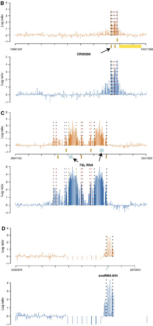 Figure 2b