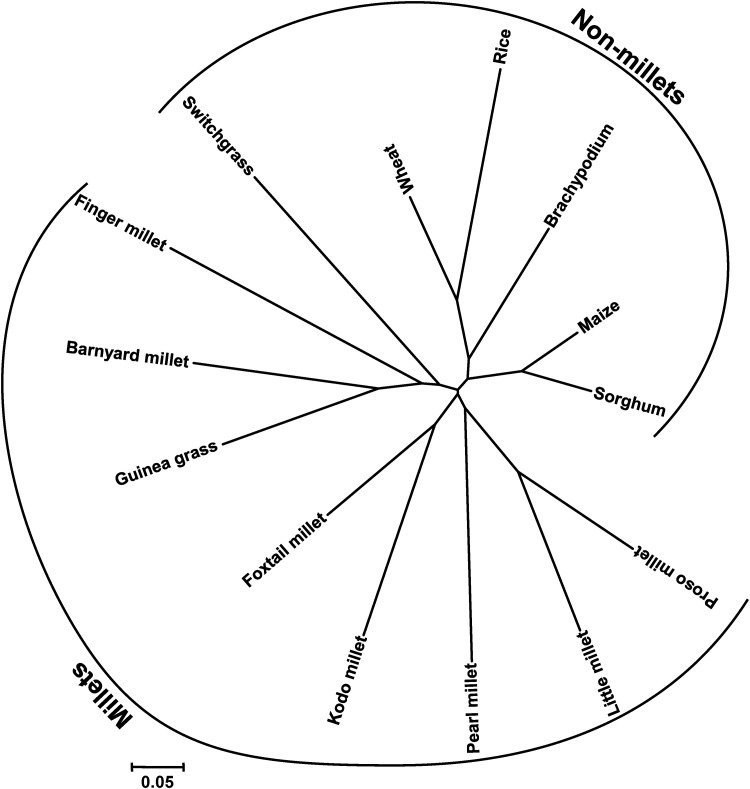 Figure 3.