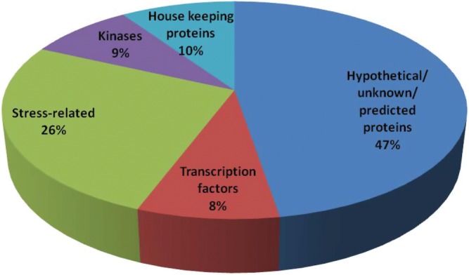 Figure 2.