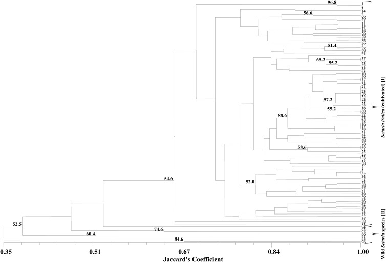 Figure 5.