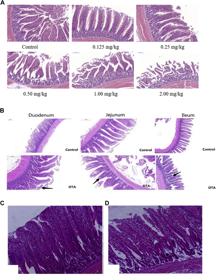 Figure 2