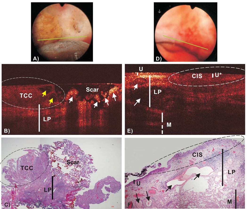 Fig.3