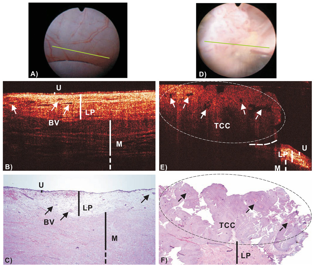 Fig.2