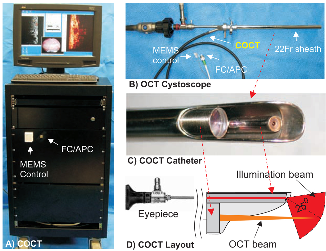 Fig.1