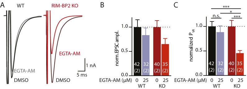 Fig. S6.