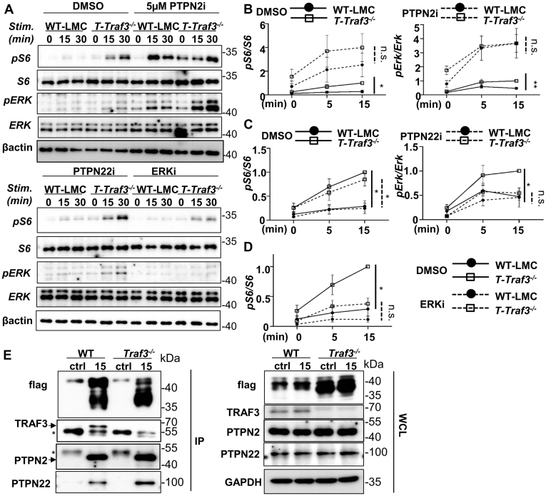 Figure 6