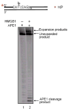 Figure 12
